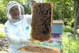 beekepper and honeybee hive